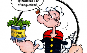 magnesium and energy