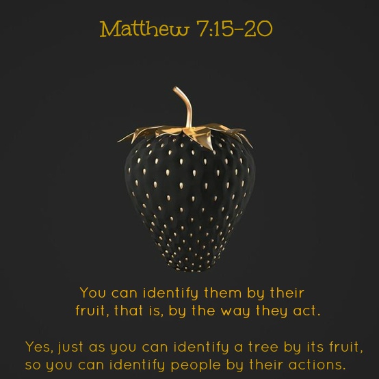 matthew 7:15-20