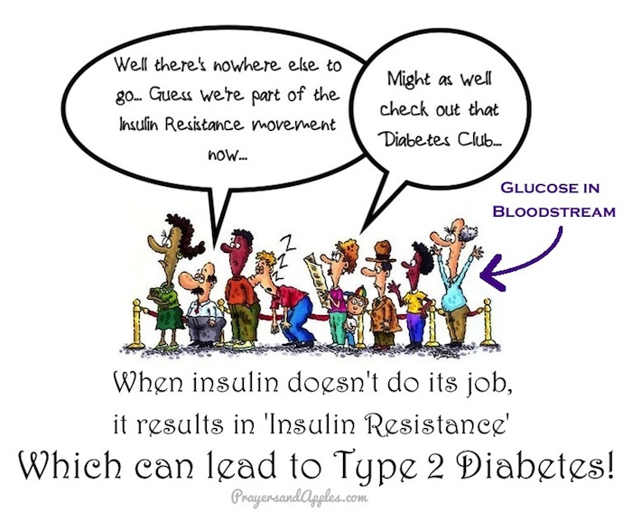 Insulin Resistance Diabetes