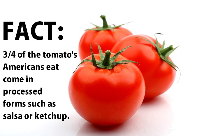 Tomatos Facts