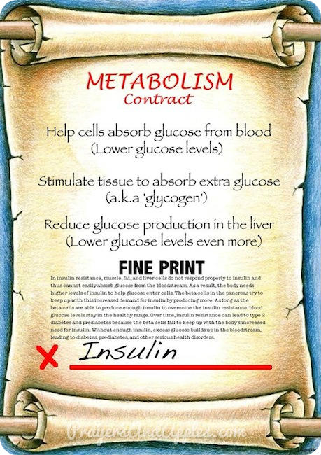 insulin and metabolism
