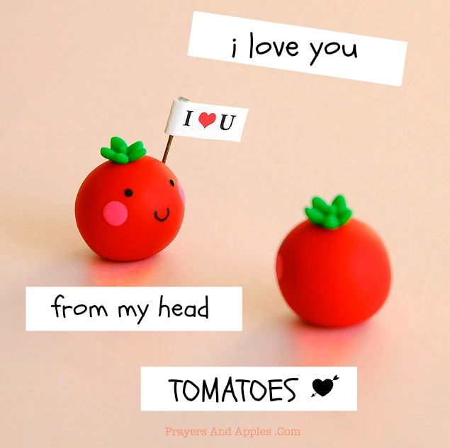 Love Tomatoes Picture