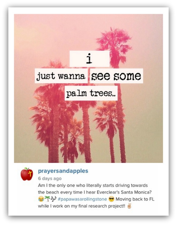 Palm Trees Instagram
