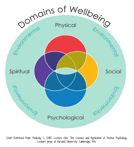 Domains of Wellbeing Positive Psychology